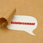 Reinforcement Learning (RL) with Verifiable Rewards in 2025 | The Ultimate Secret Behind Thinking AI Models